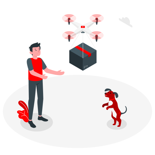 Drone Delivery-amico